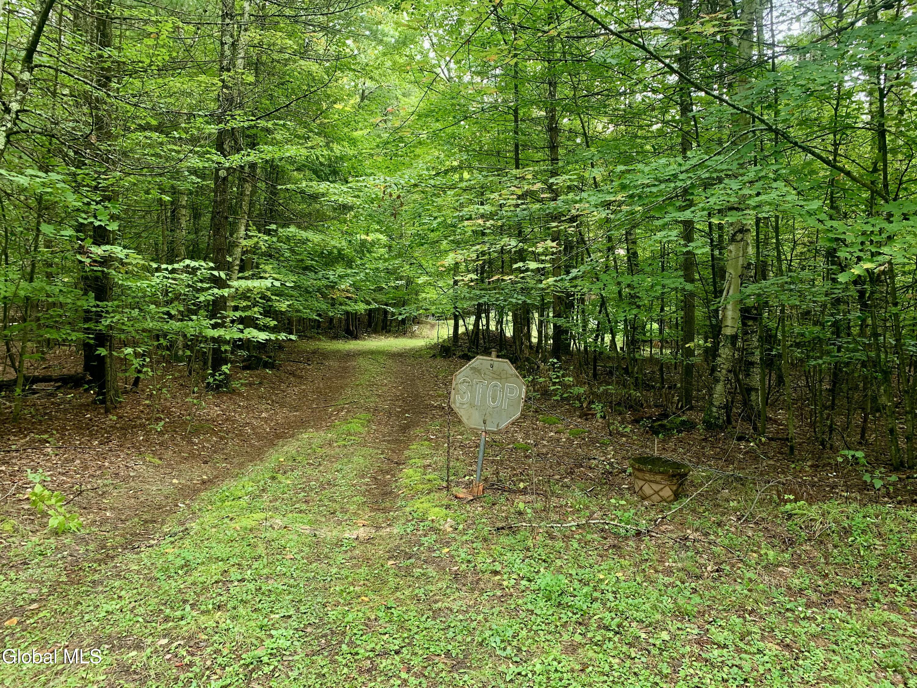 372 High Pine Meadows Road Middleburgh NY 12122