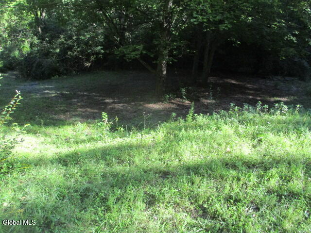 66 Deer Run Way Hartford NY 12838