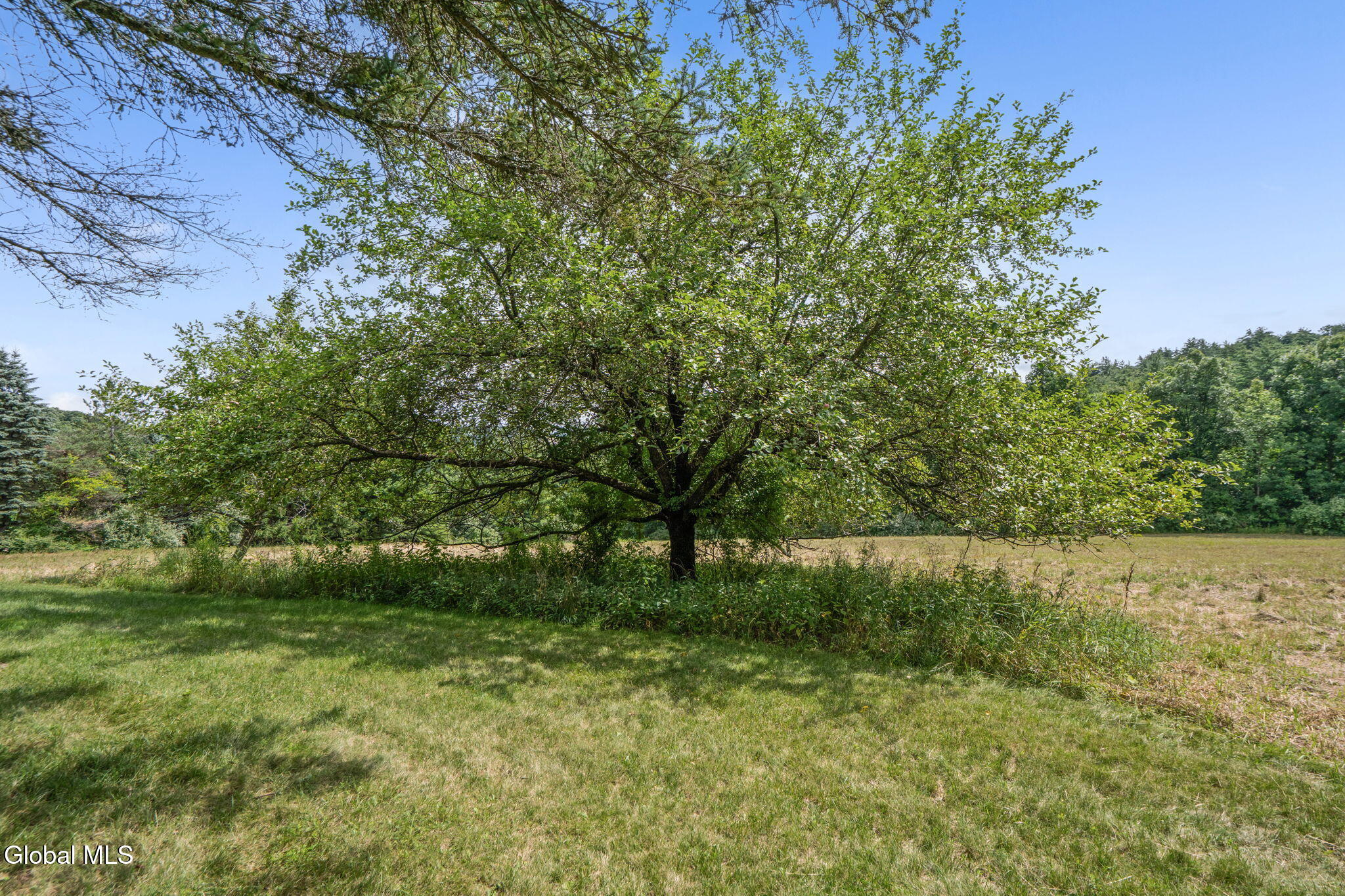 601 Dunbar Road Greenwich NY 12834
