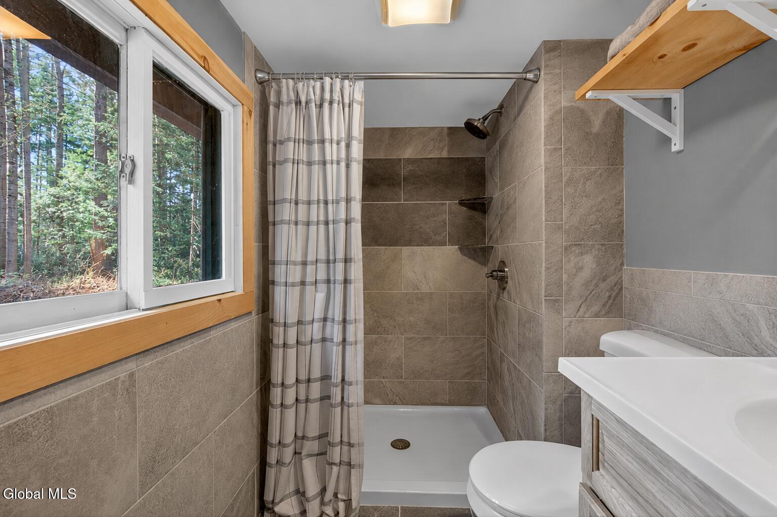 26 Sullivan Way Minerva NY 12857