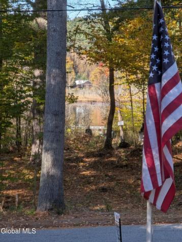 44 Brant Lake Estates Road Brant Lake NY 12815