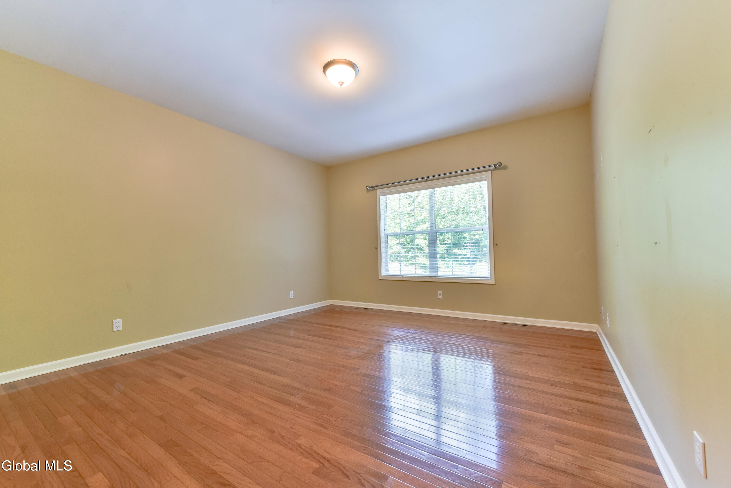5 Lenca Court Wilton NY 12831