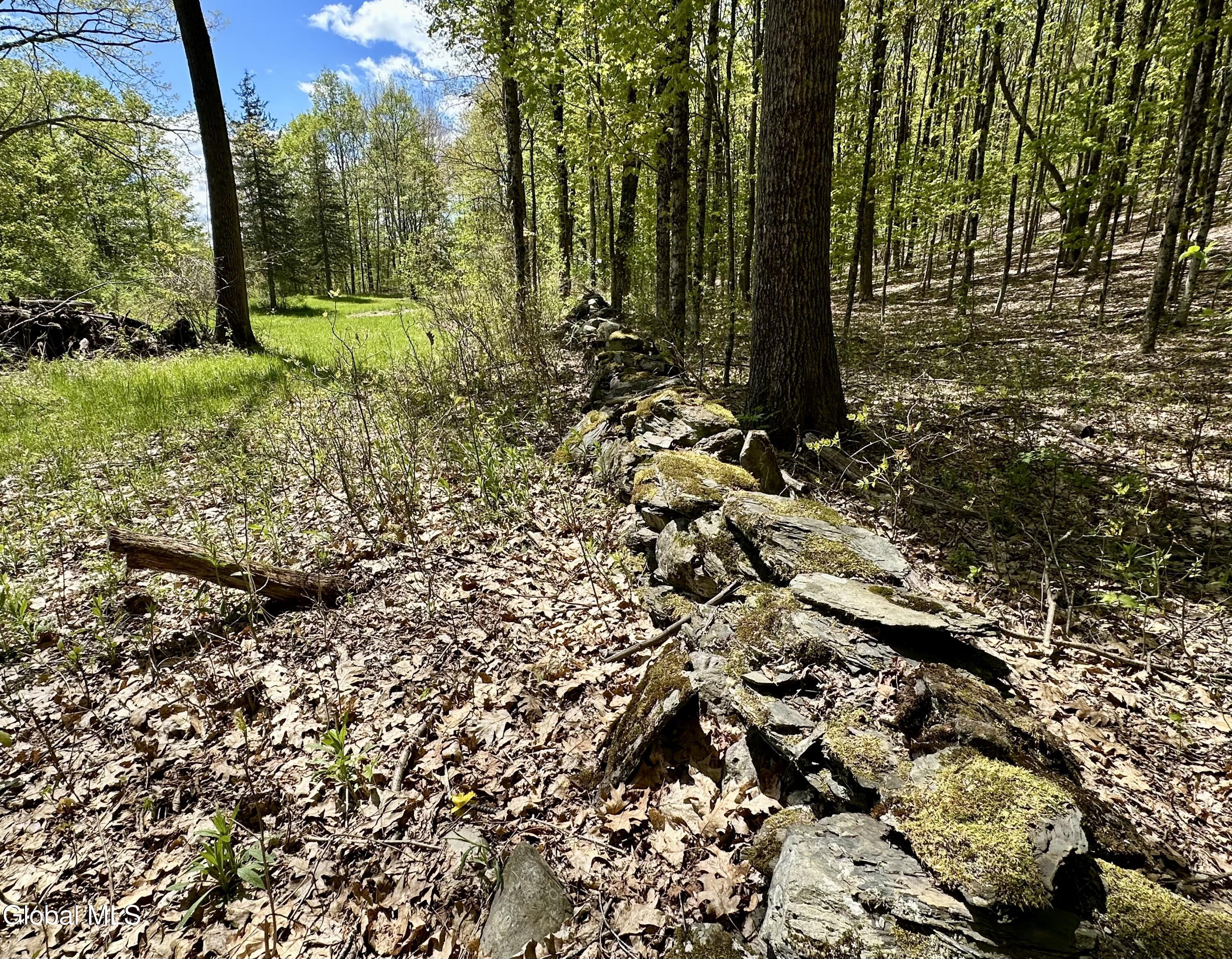 44 Darfler Lane Granville NY 12832