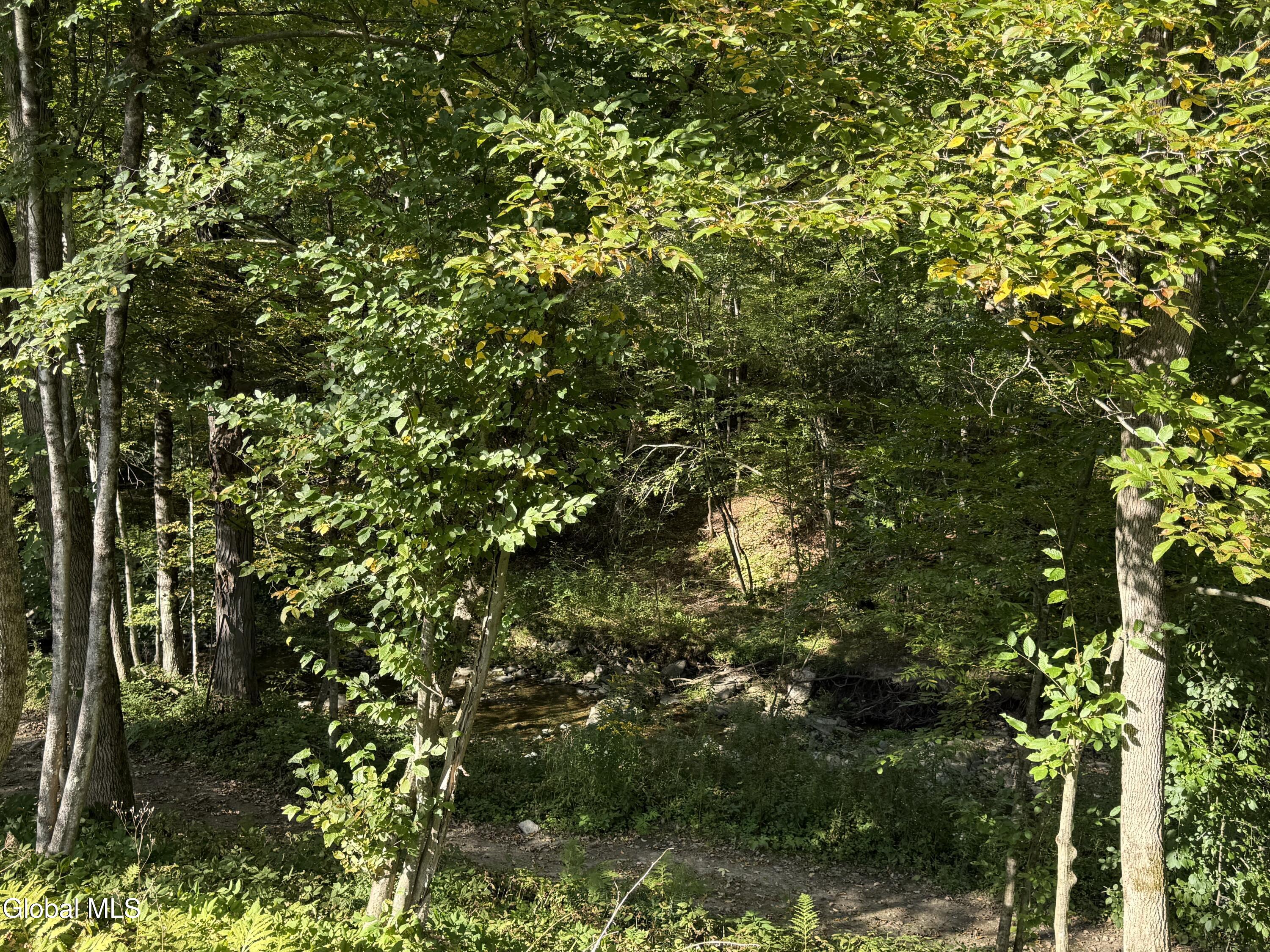 660 Jones Hollow Road Petersburgh NY 12138