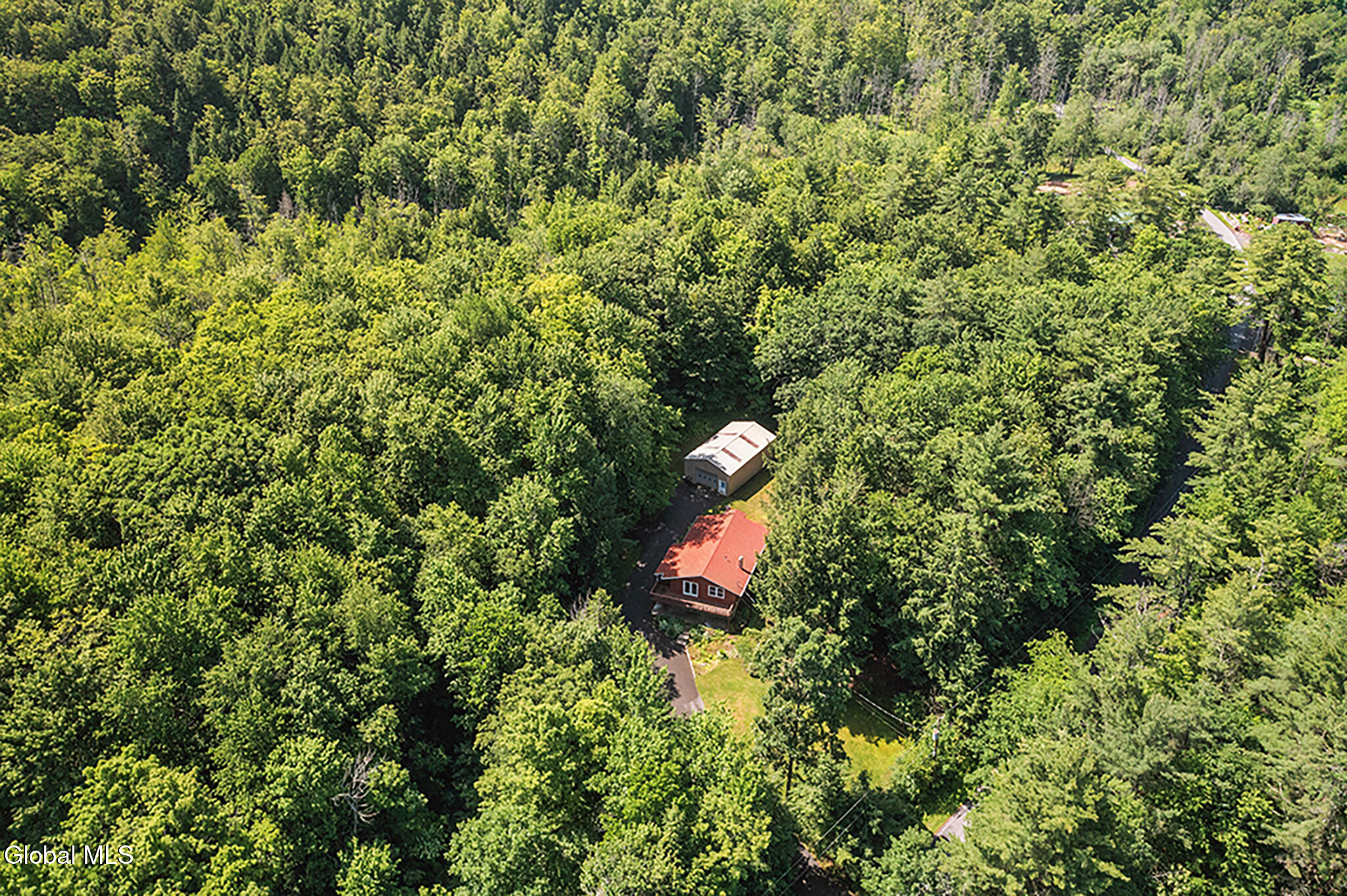 421 W Shore Road Delanson NY 12053