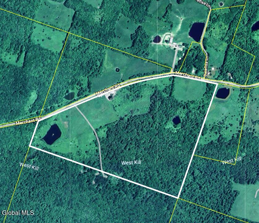 320 Merchant Road Jefferson NY 12093