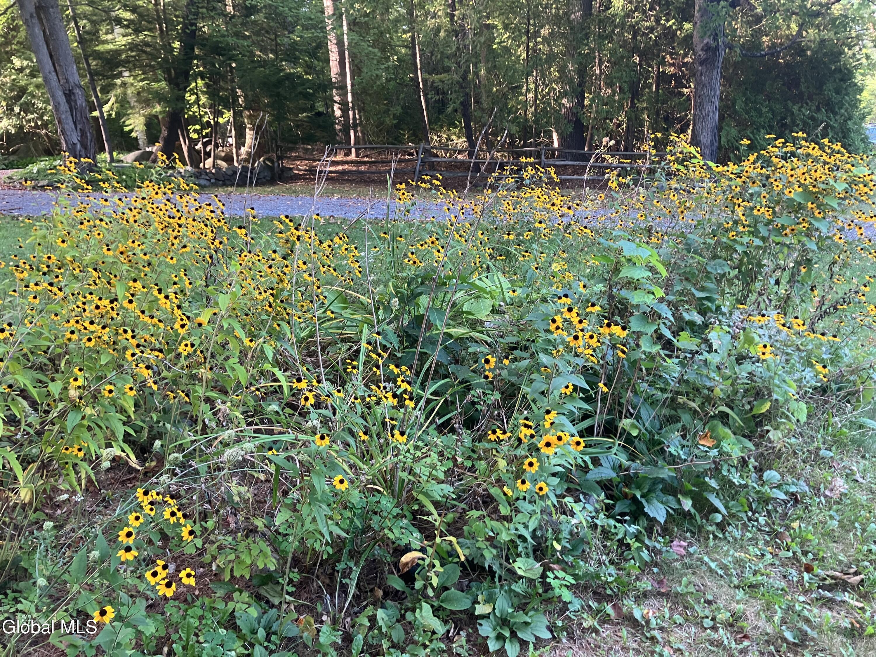 5 Us 9 Schroon Lake NY 12870