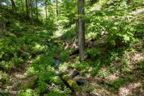 1301 State Route 313 Cambridge NY 12816