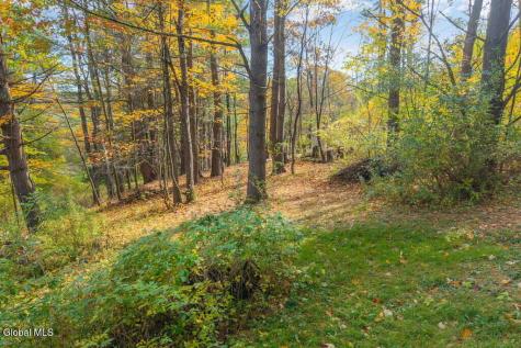 323 Tan Hollow Road Westerlo NY 12193
