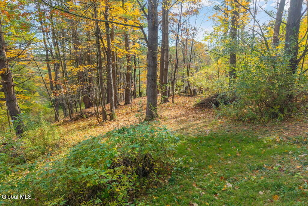 323 Tan Hollow Road Westerlo NY 12193