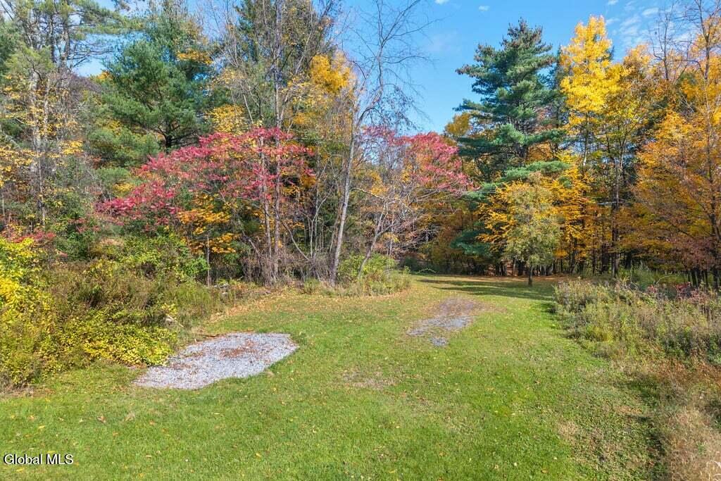323 Tan Hollow Road Westerlo NY 12193