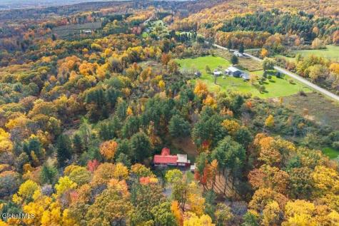 323 Tan Hollow Road Westerlo NY 12193