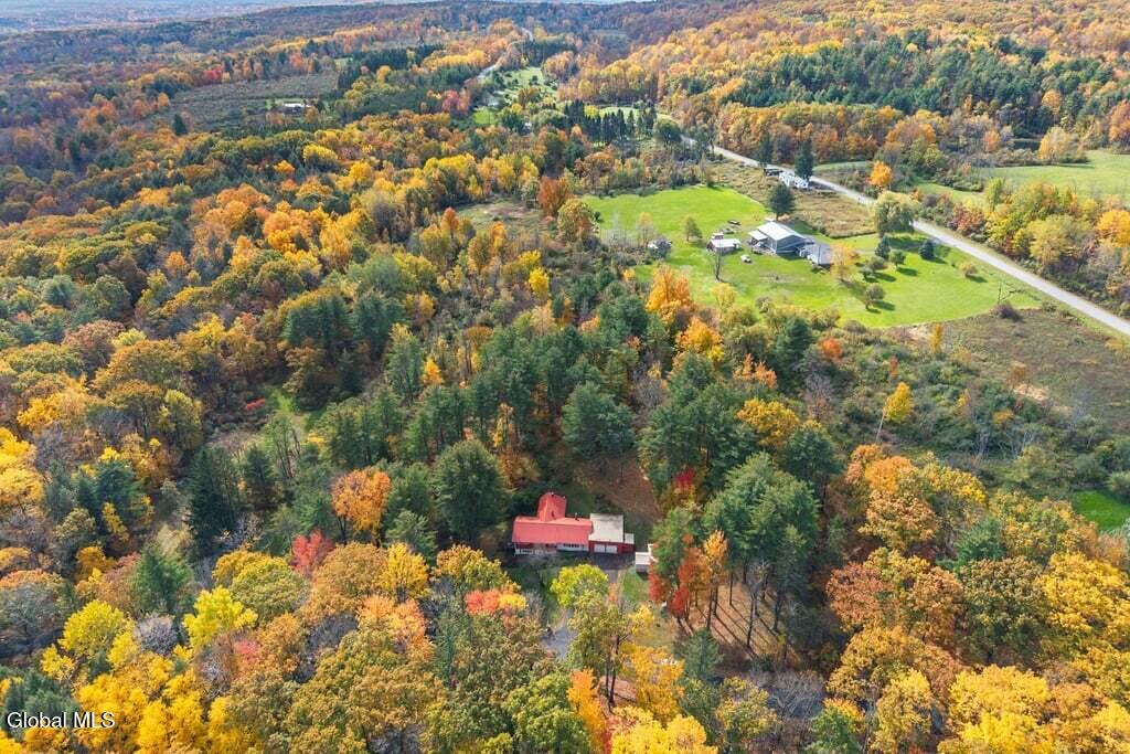323 Tan Hollow Road Westerlo NY 12193