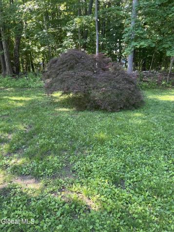 20 Van Vorst Drive Burnt Hills NY 12027