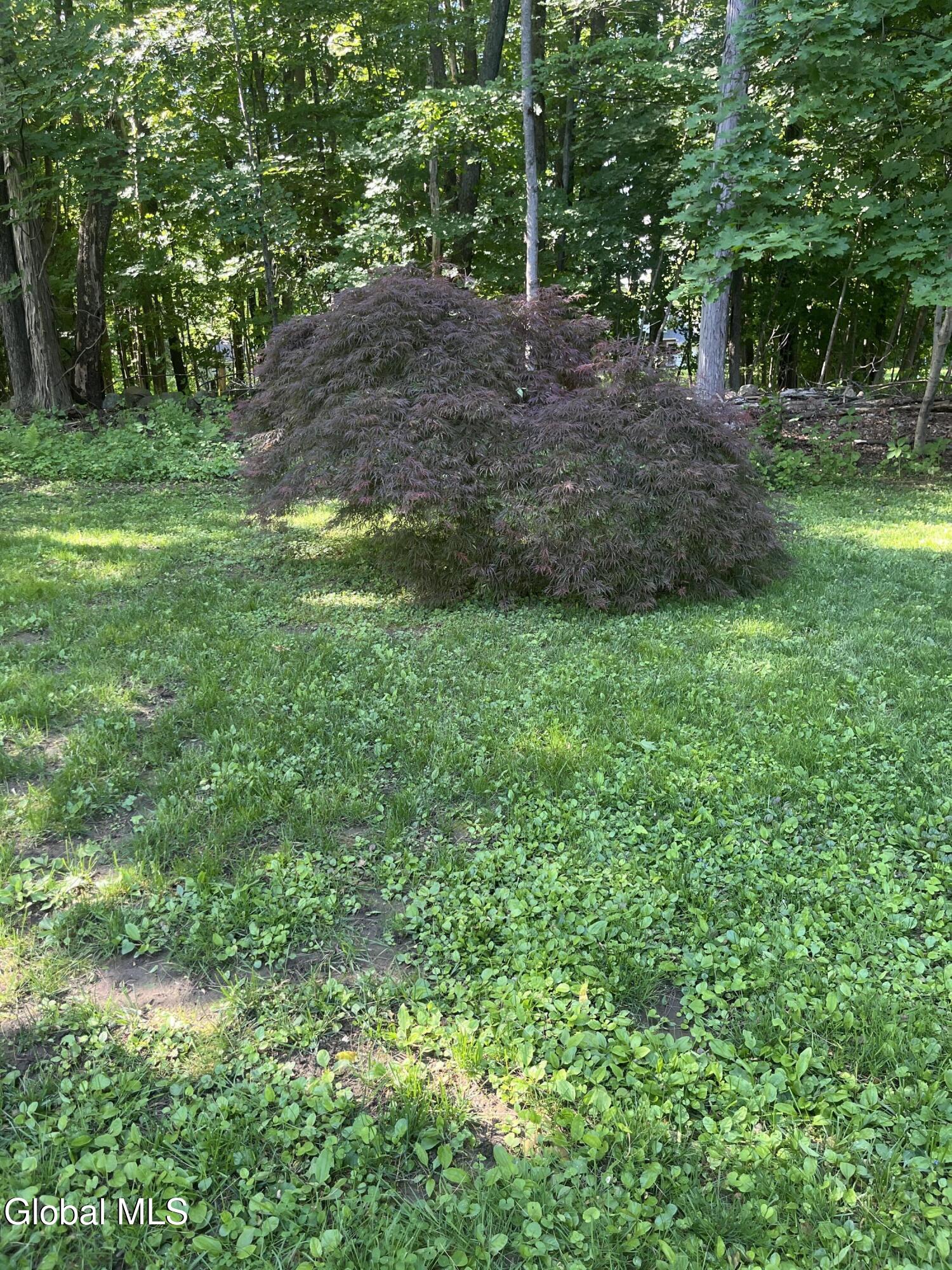 20 Van Vorst Drive Burnt Hills NY 12027