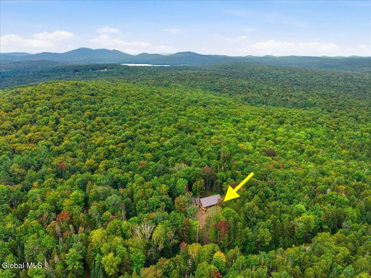 67 Grange Way Long Lake NY 12847