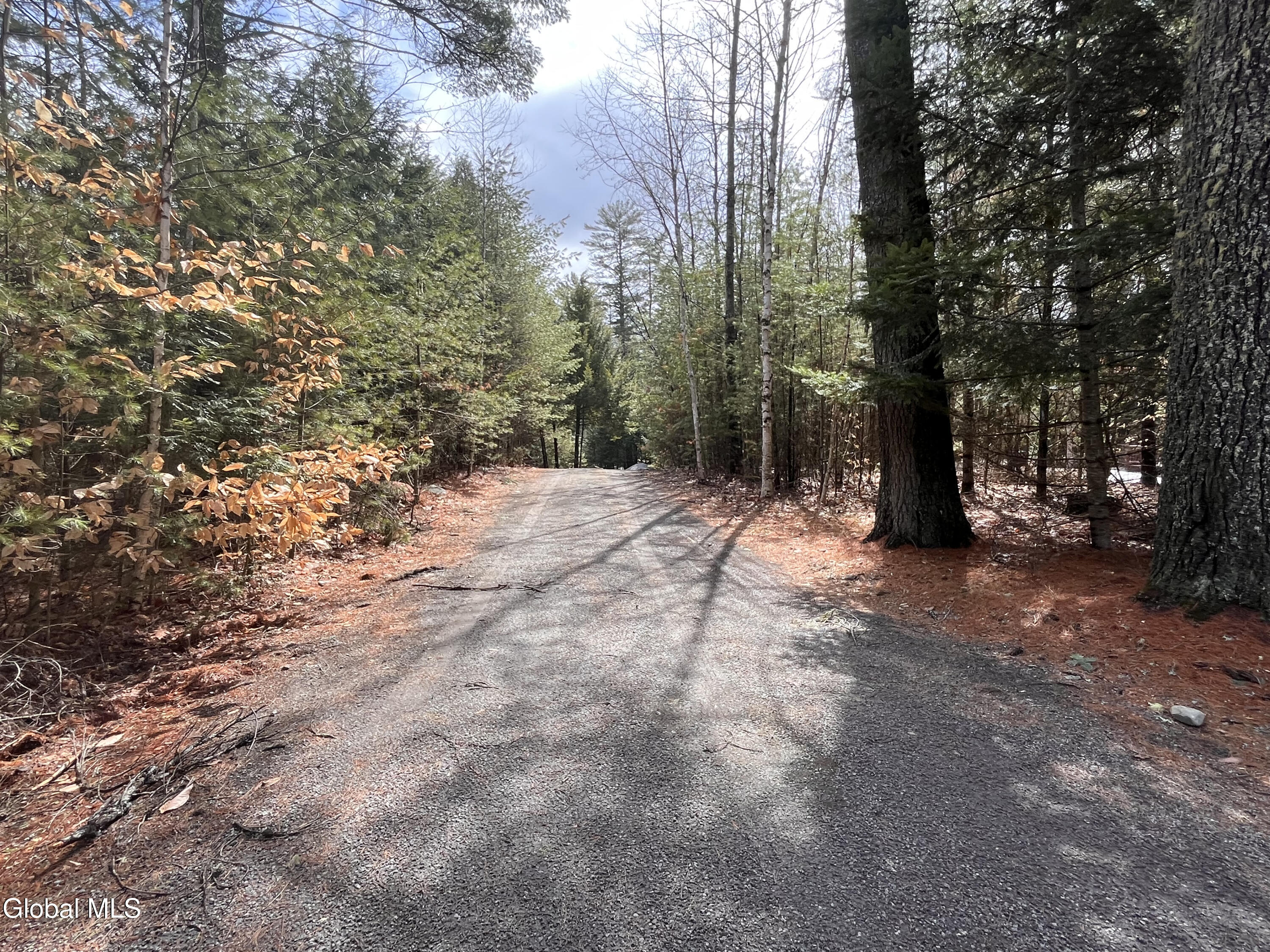 17 Hawkins Lane Brant Lake NY 12815