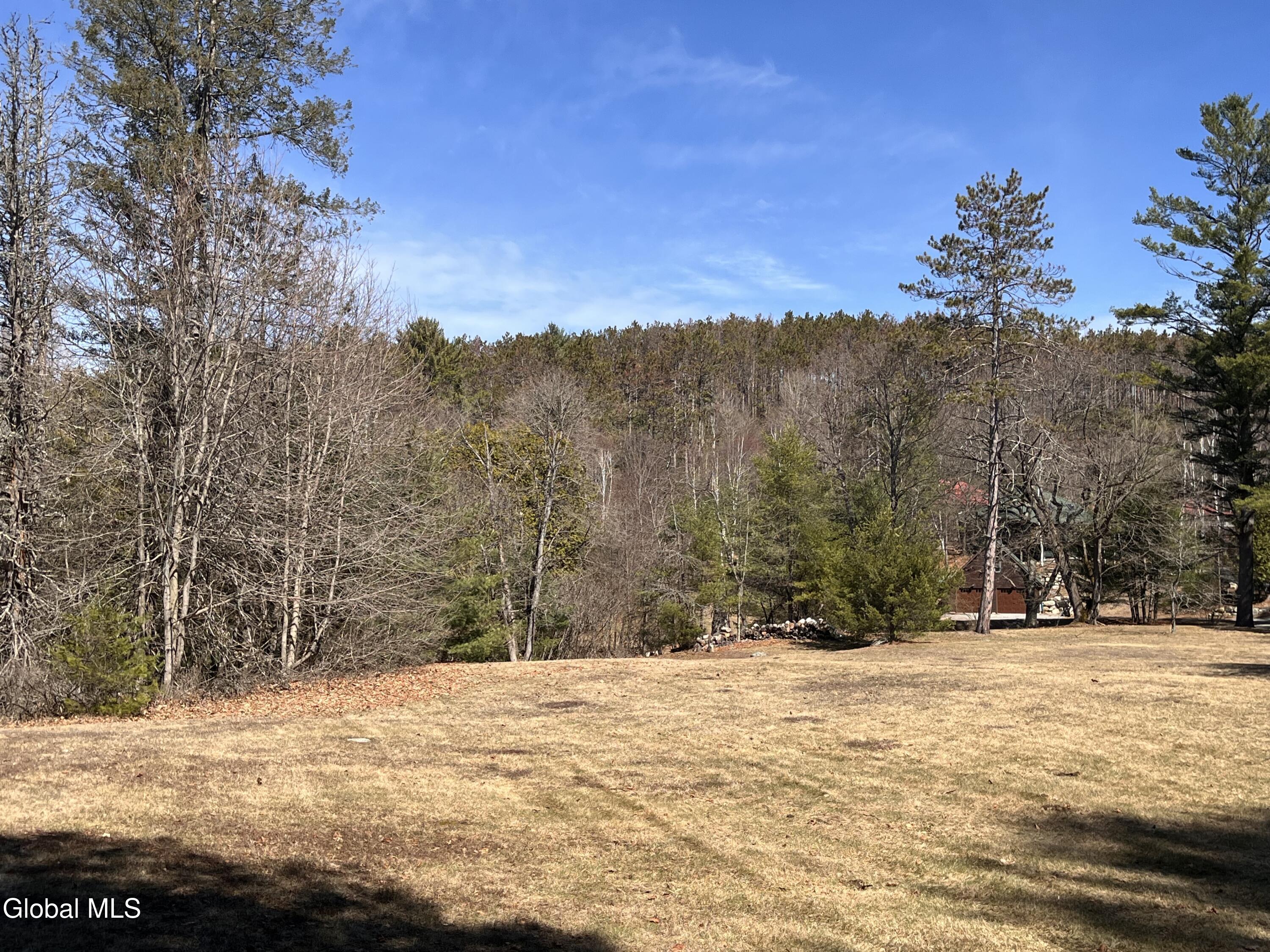 17 Hawkins Lane Brant Lake NY 12815