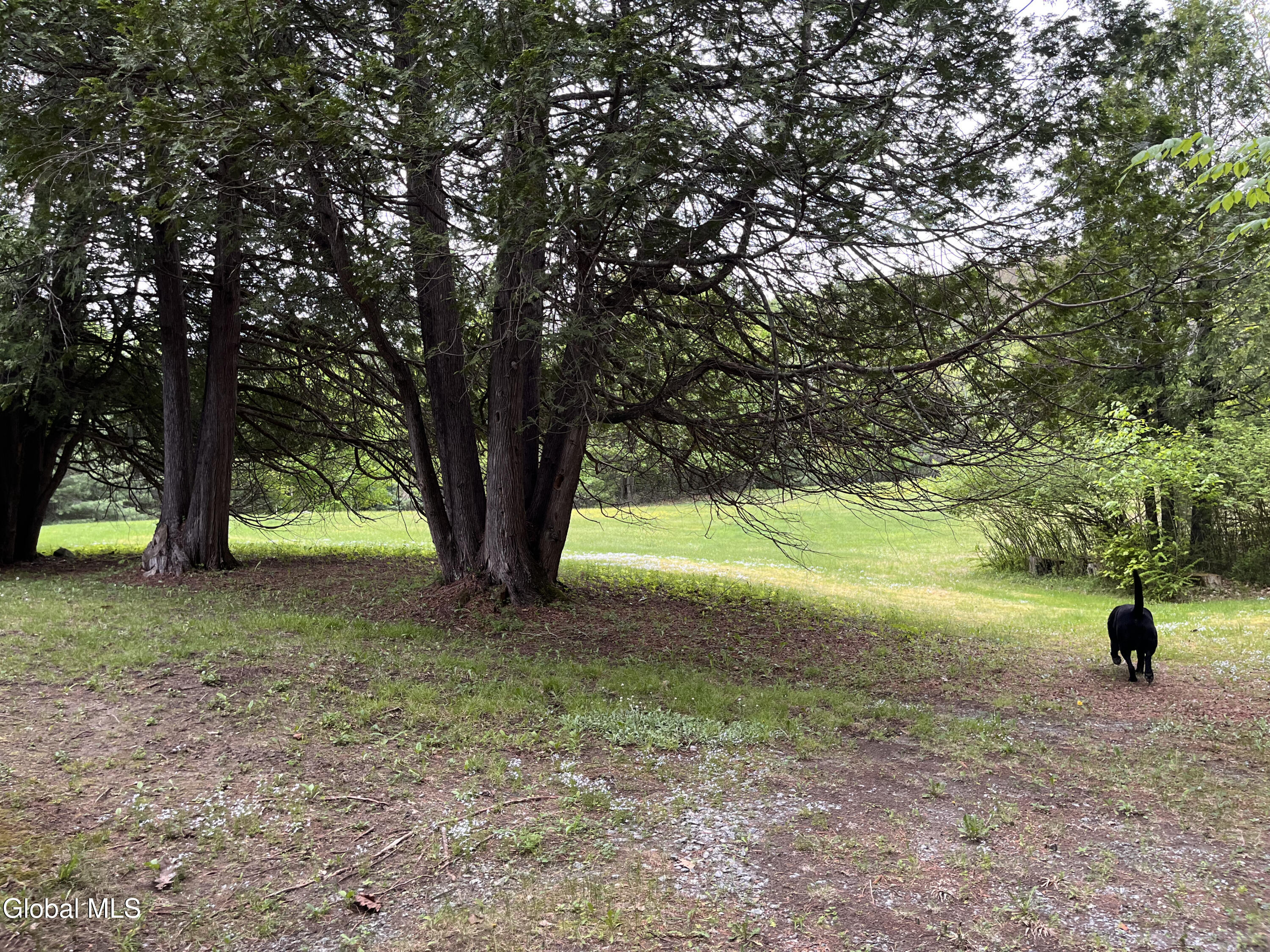 17 Hawkins Lane Brant Lake NY 12815