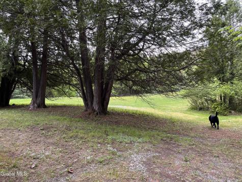 17 Hawkins Lane Brant Lake NY 12815