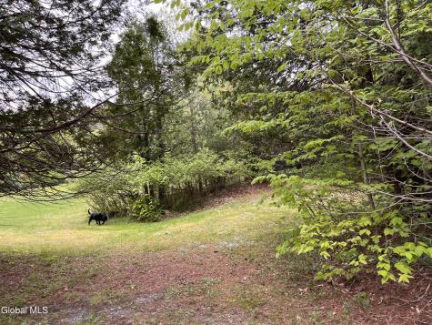 17 Hawkins Lane Brant Lake NY 12815