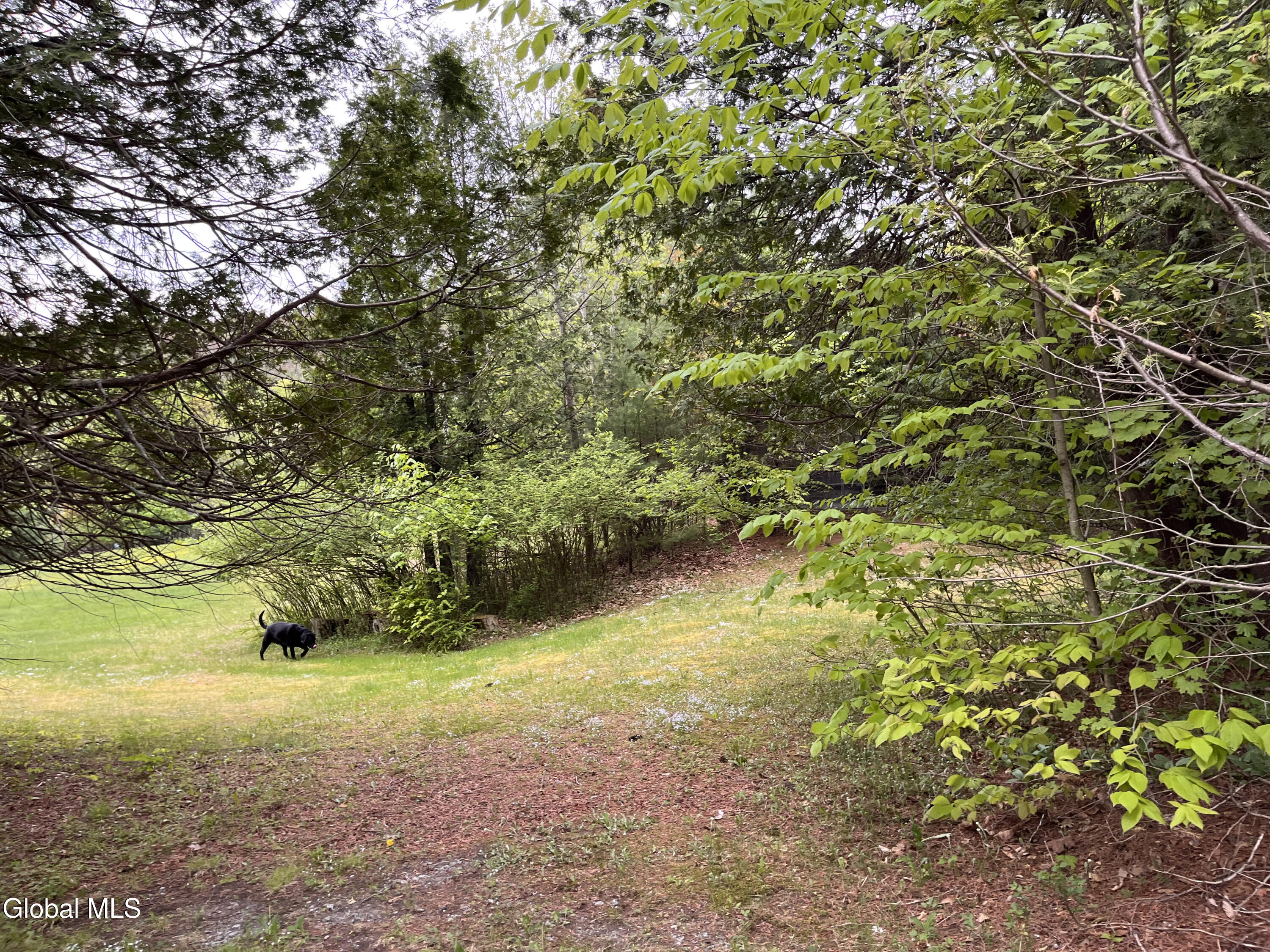 17 Hawkins Lane Brant Lake NY 12815