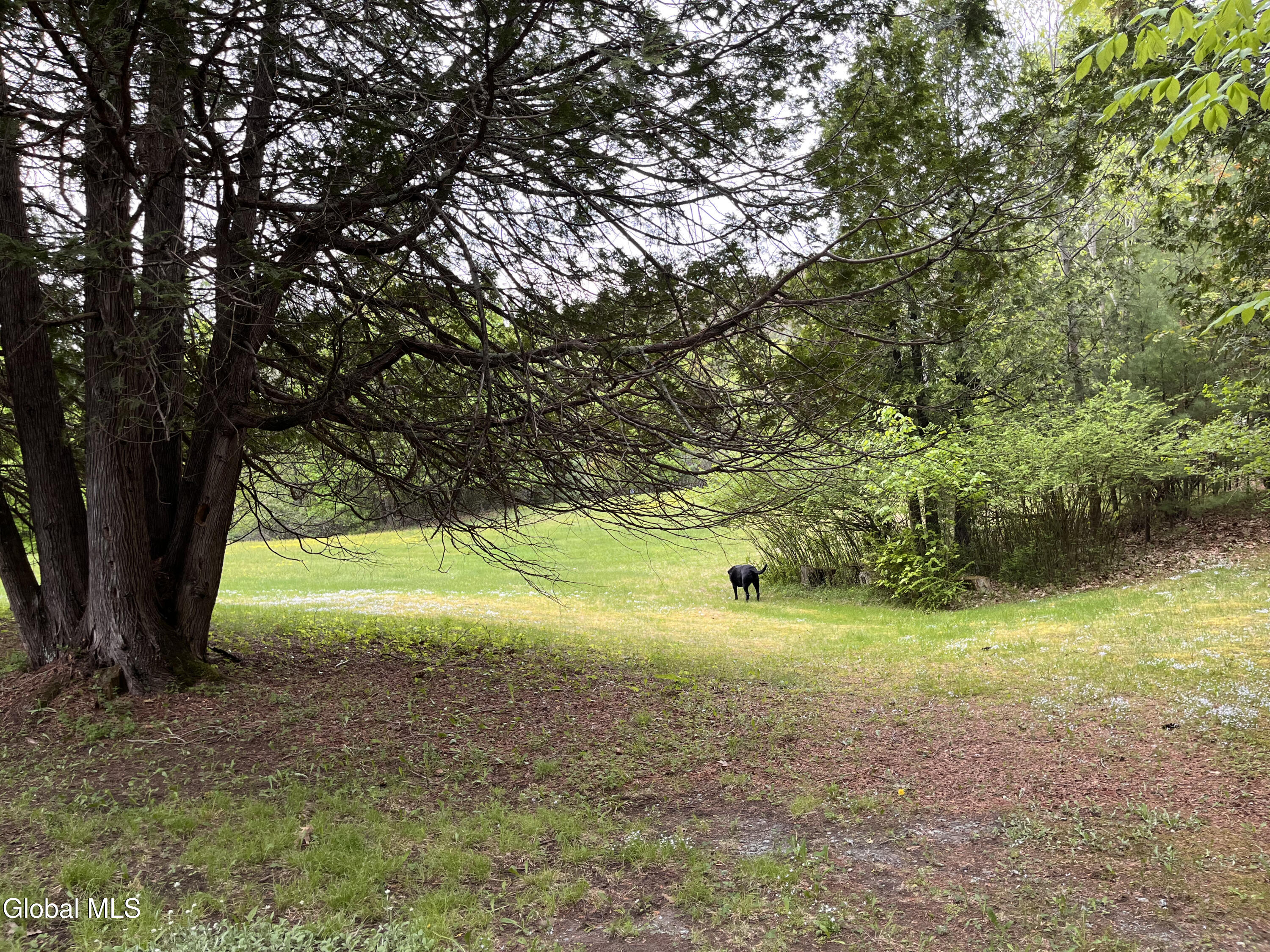 17 Hawkins Lane Brant Lake NY 12815