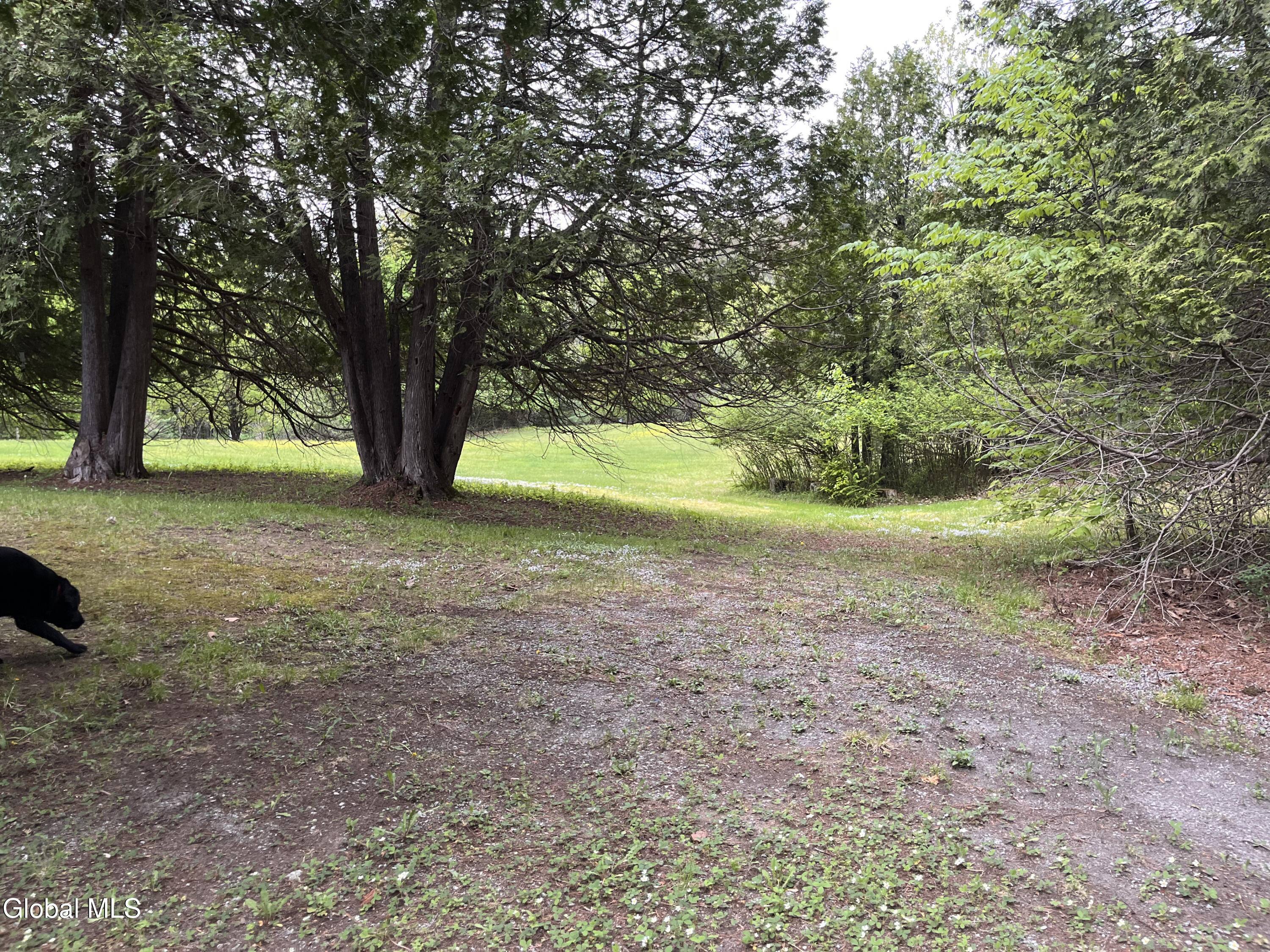 17 Hawkins Lane Brant Lake NY 12815