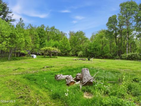 364 County Route 410 Westerlo NY 12193