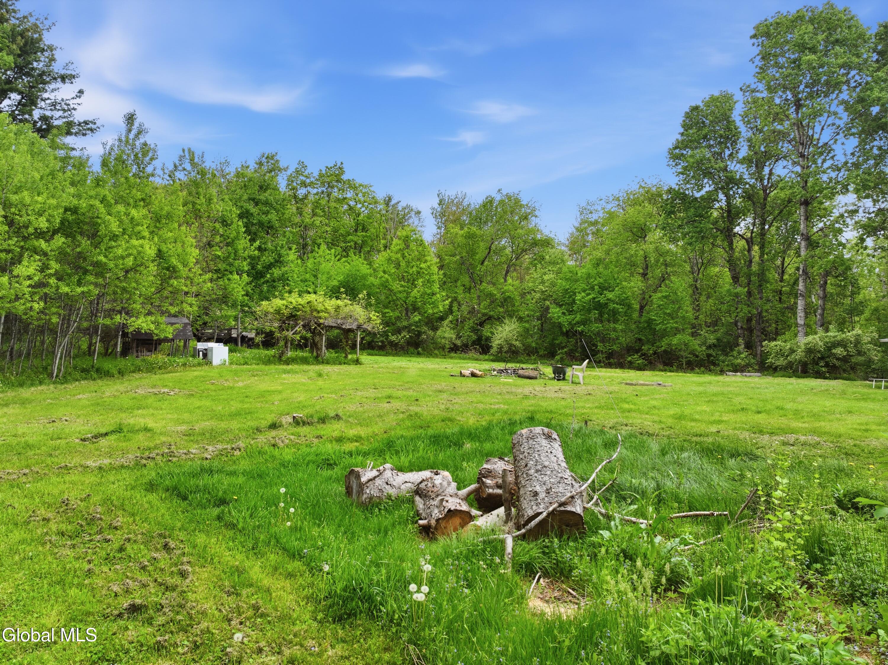 364 County Route 410 Westerlo NY 12193