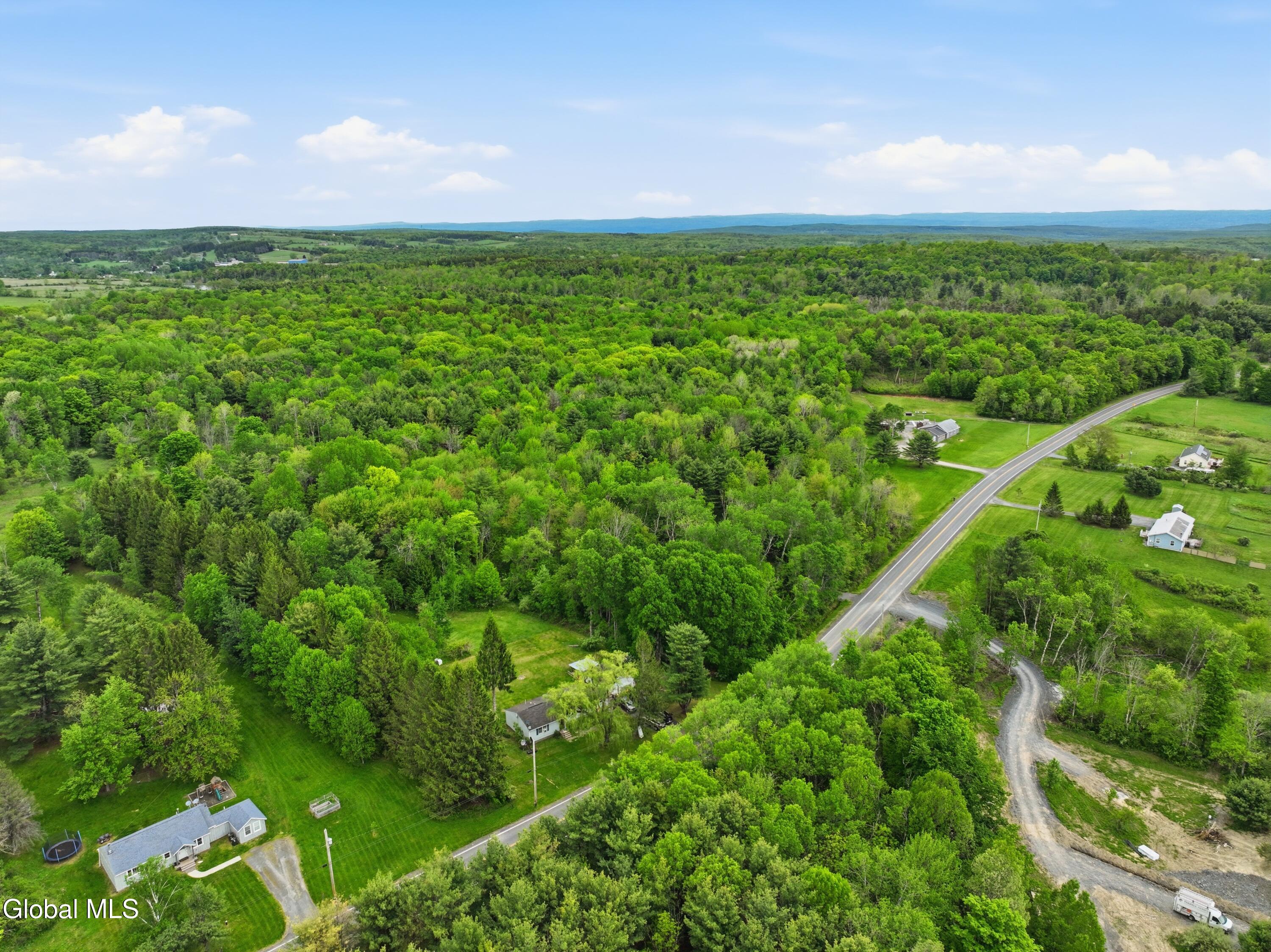 364 County Route 410 Westerlo NY 12193