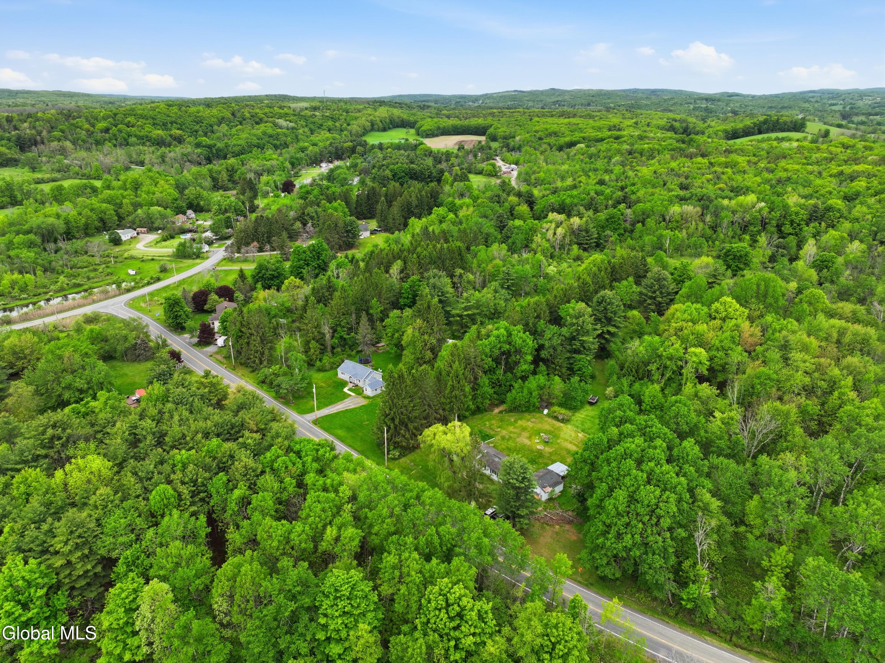 364 County Route 410 Westerlo NY 12193