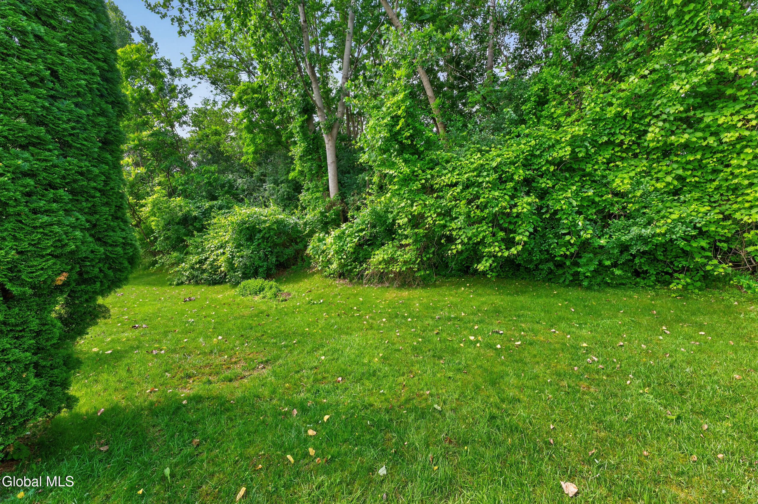 4 Cheshire Court Albany NY 12209