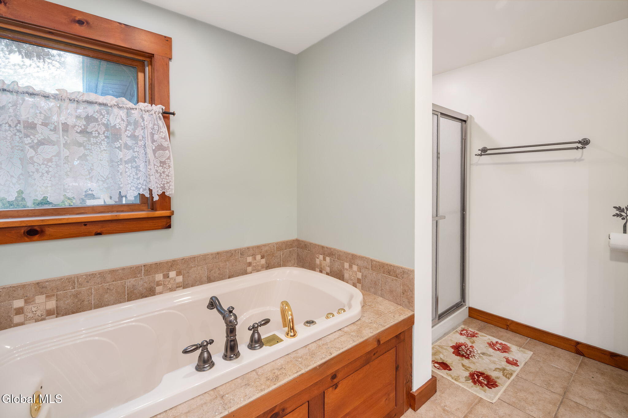 161 Meade Road Charlotteville NY 12036