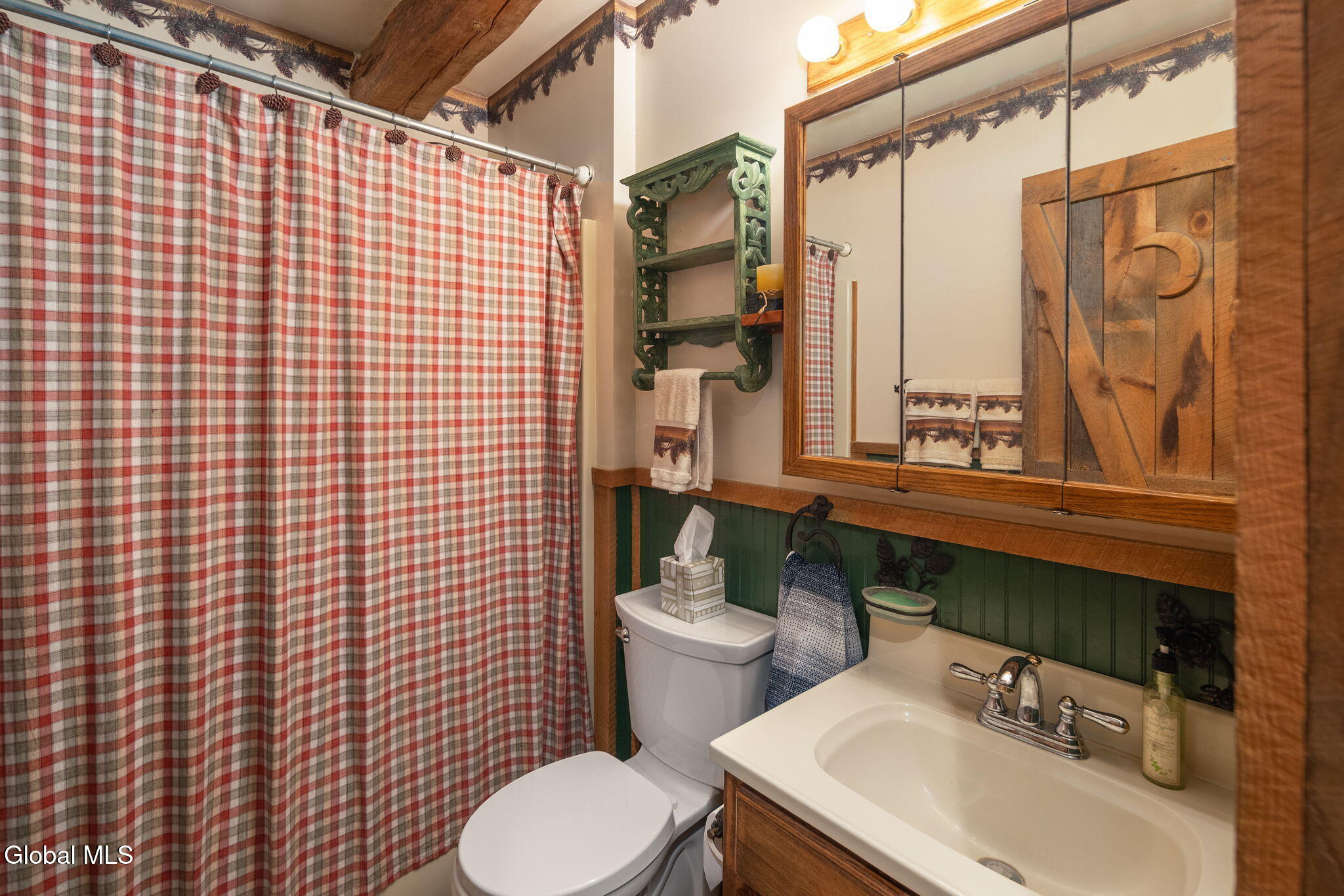 161 Meade Road Charlotteville NY 12036
