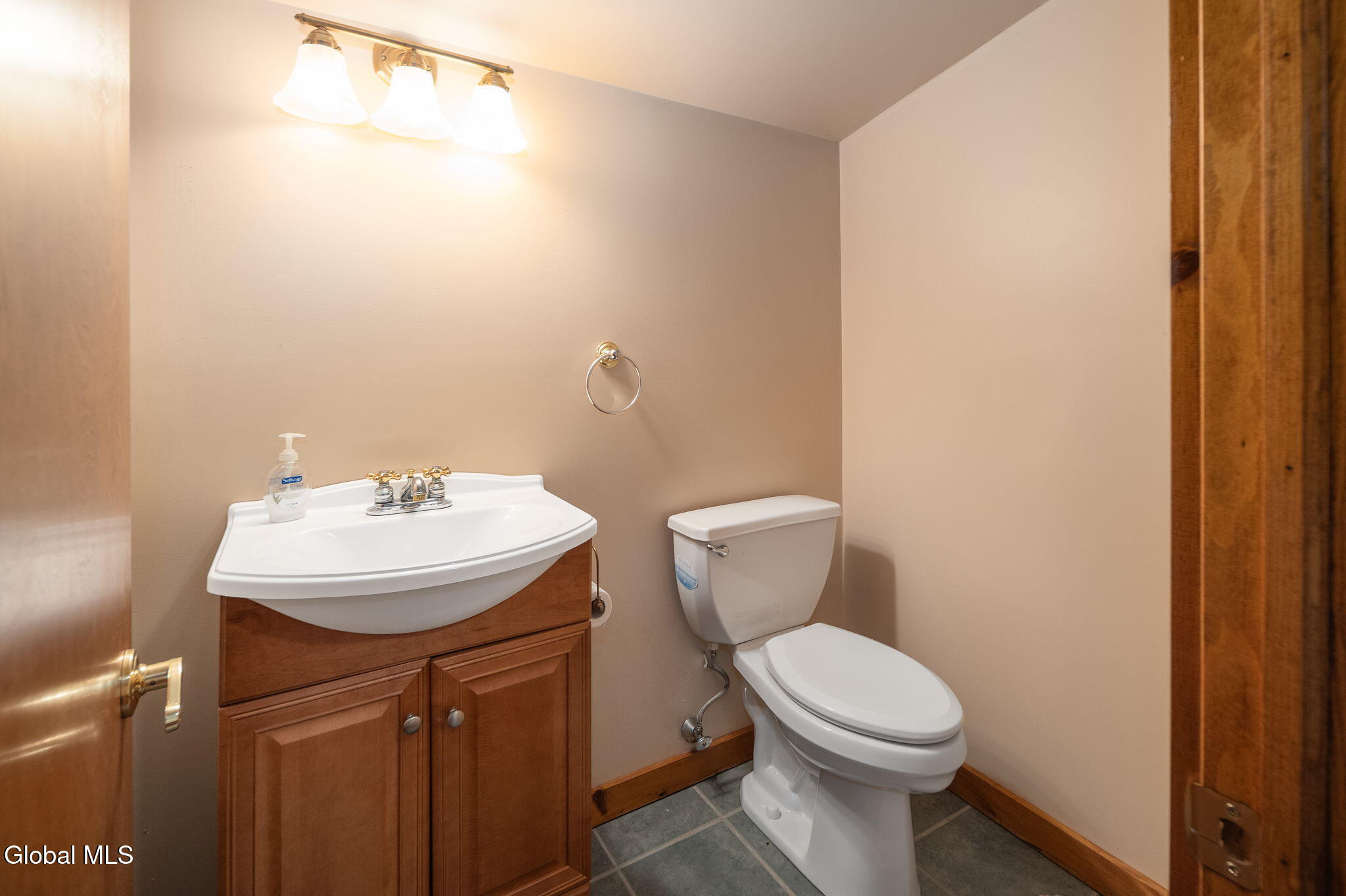 161 Meade Road Charlotteville NY 12036