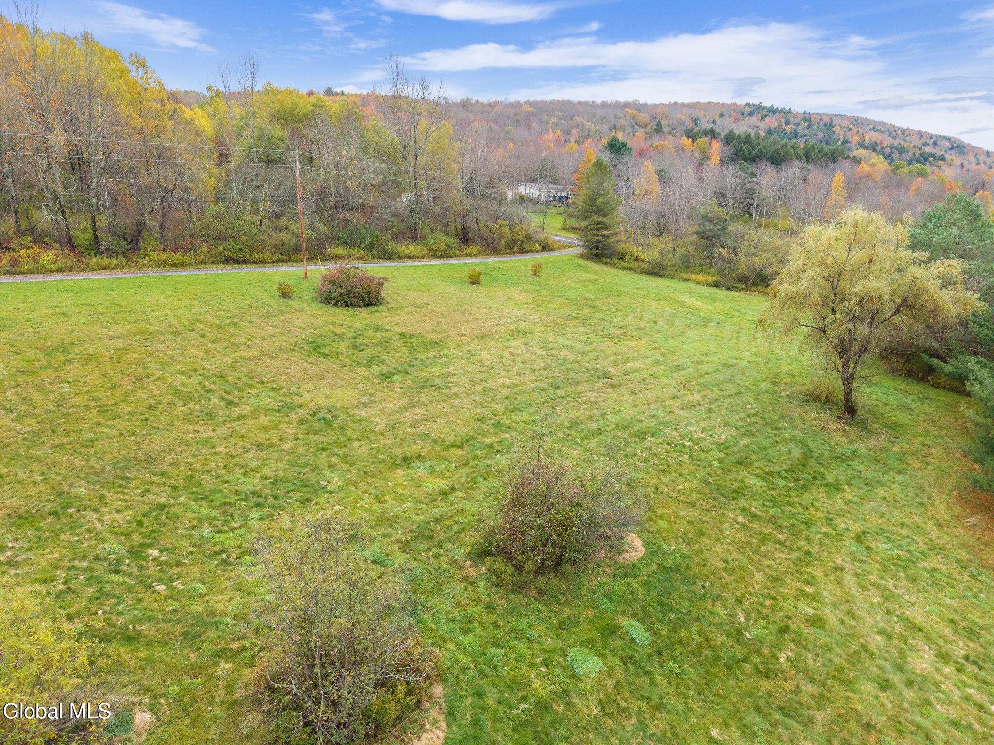 161 Meade Road Charlotteville NY 12036