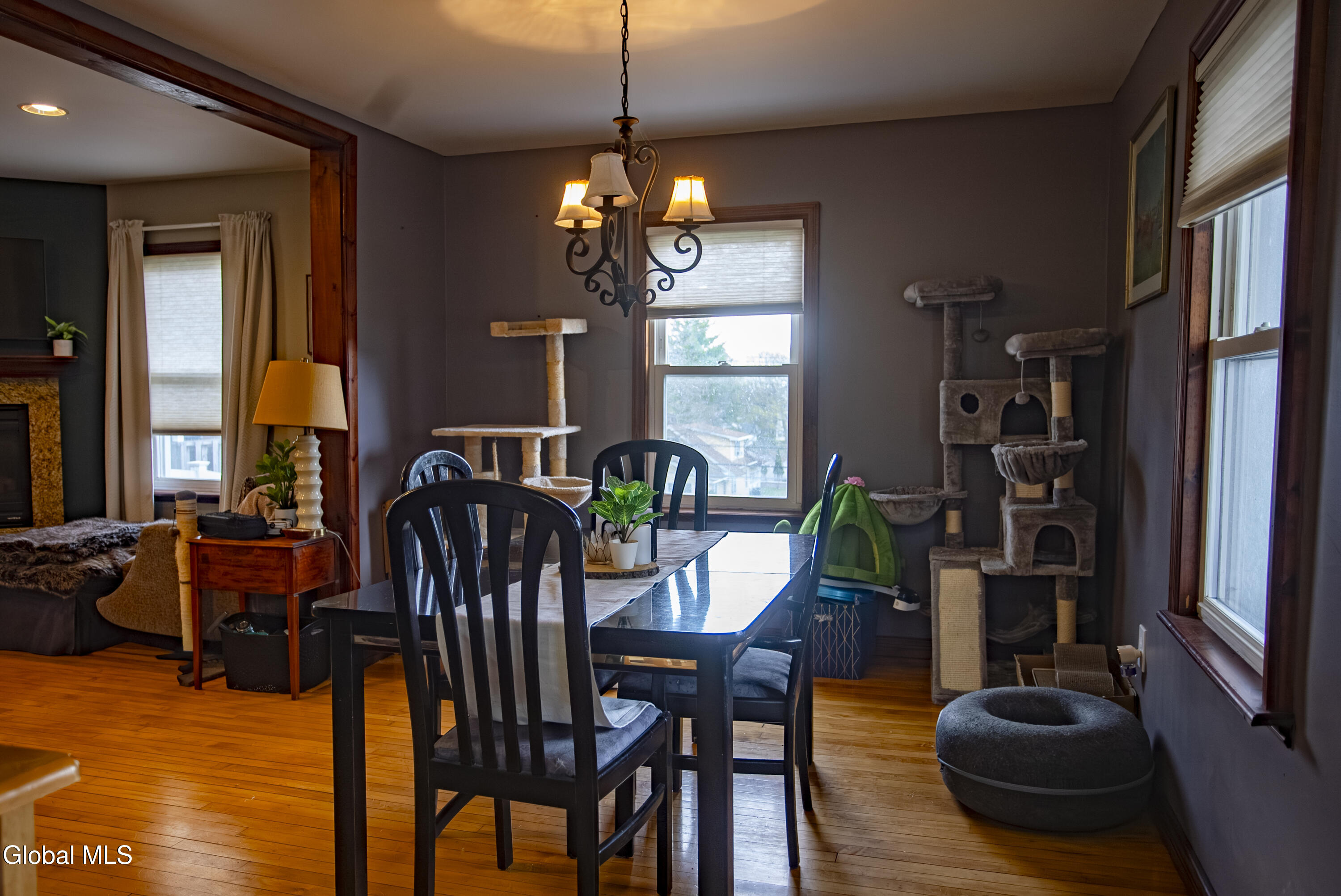 3 Luther Street Troy NY 12180