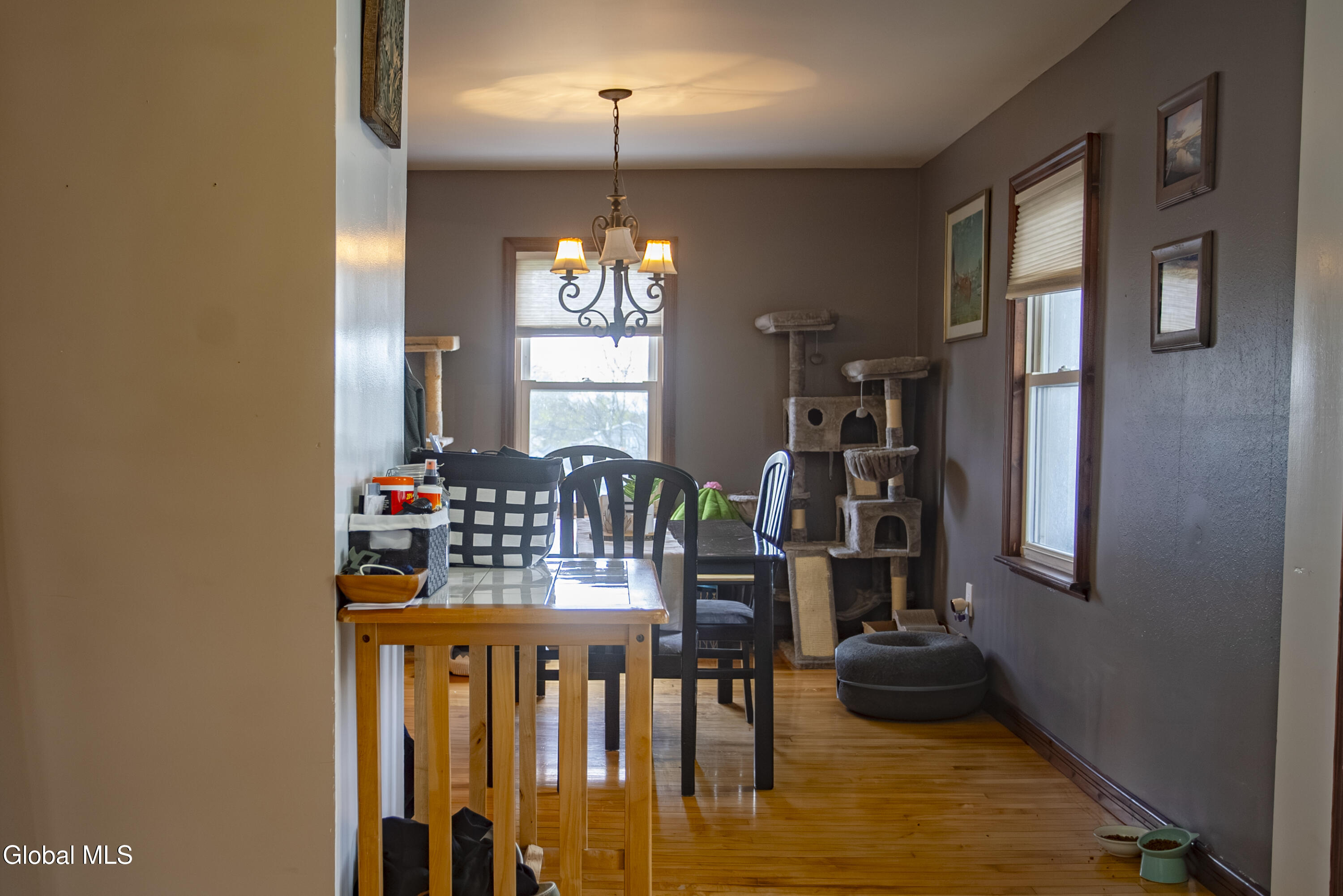 3 Luther Street Troy NY 12180