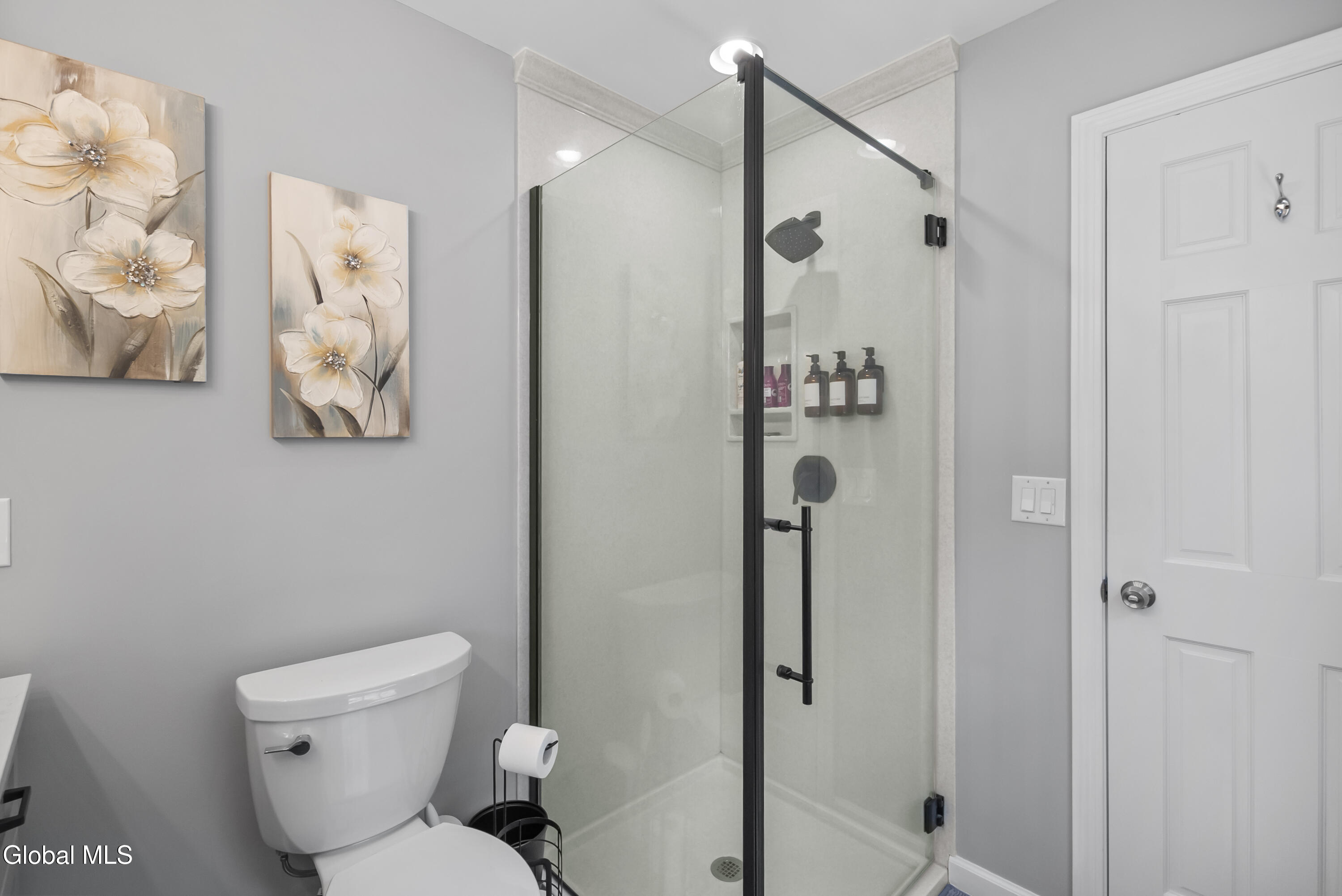 17 Montgomery Way Clifton Park NY 12065
