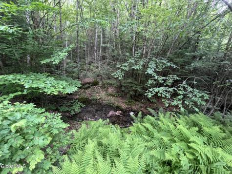 108 Thomas Road Lake Luzerne NY 12846