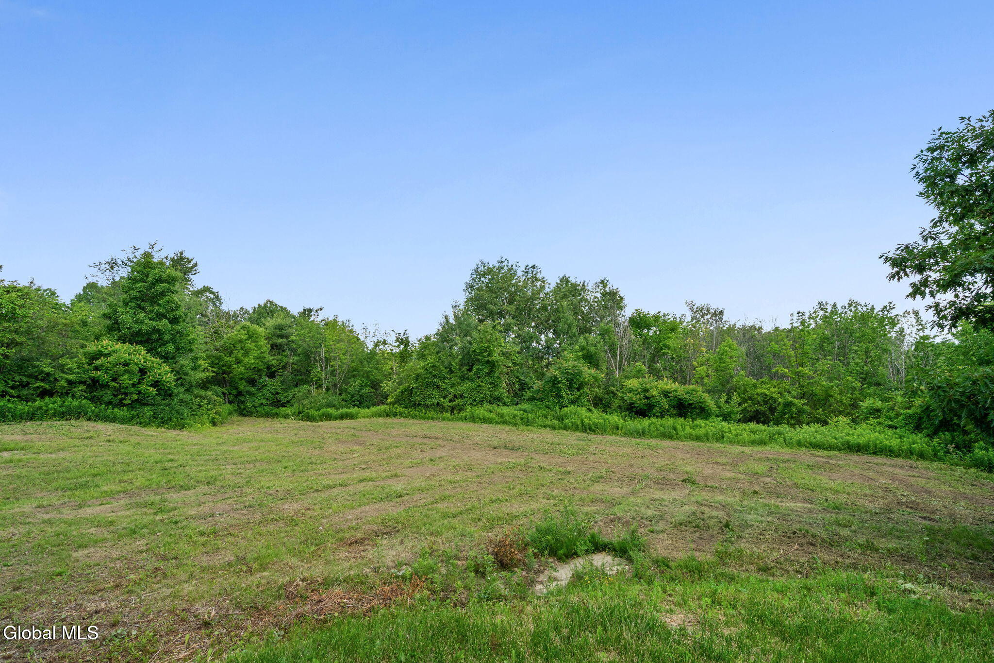 97 Lewis Road Altamont NY 12009