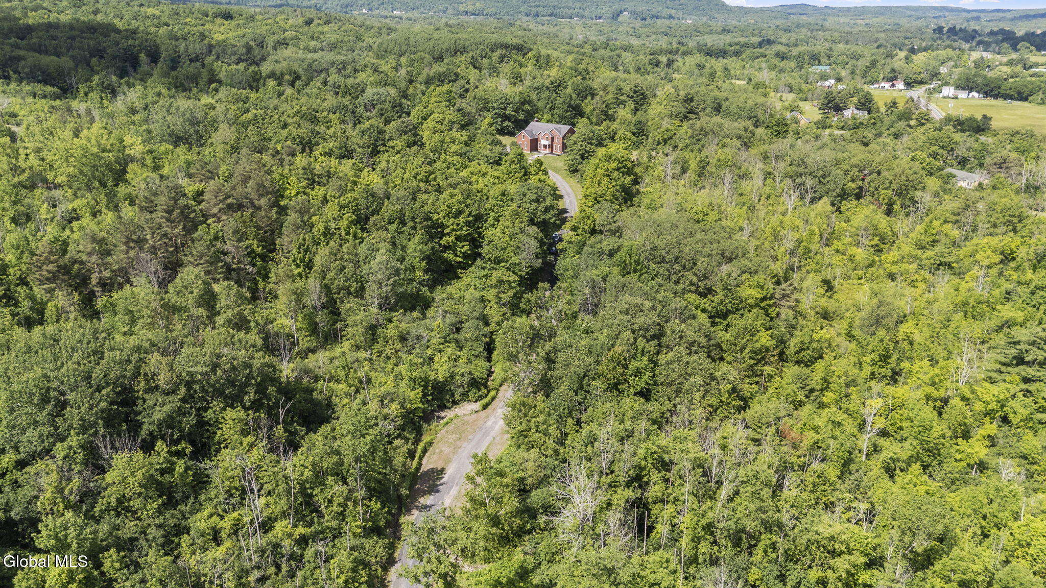 97 Lewis Road Altamont NY 12009