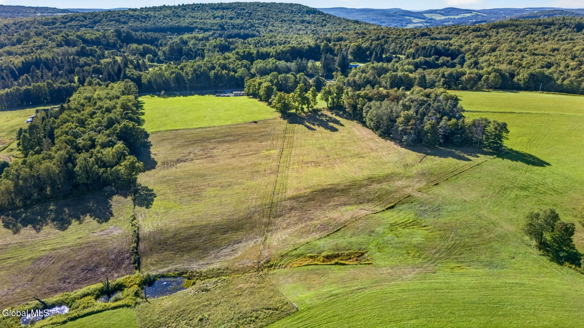 690 Smith Road Worcester NY 12197
