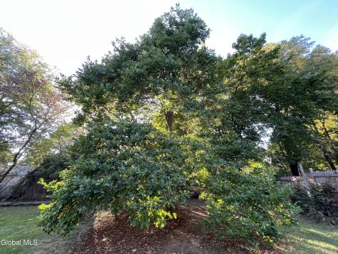 25 Corliss Avenue Greenwich NY 12834