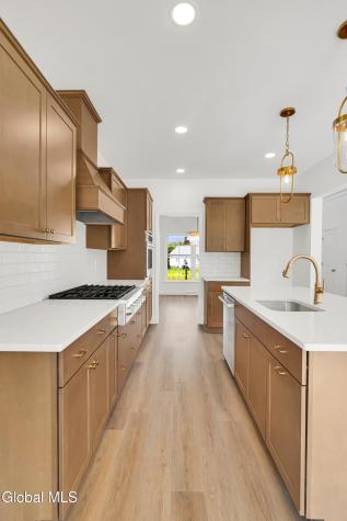 31 Indigo Court Selkirk NY 12158