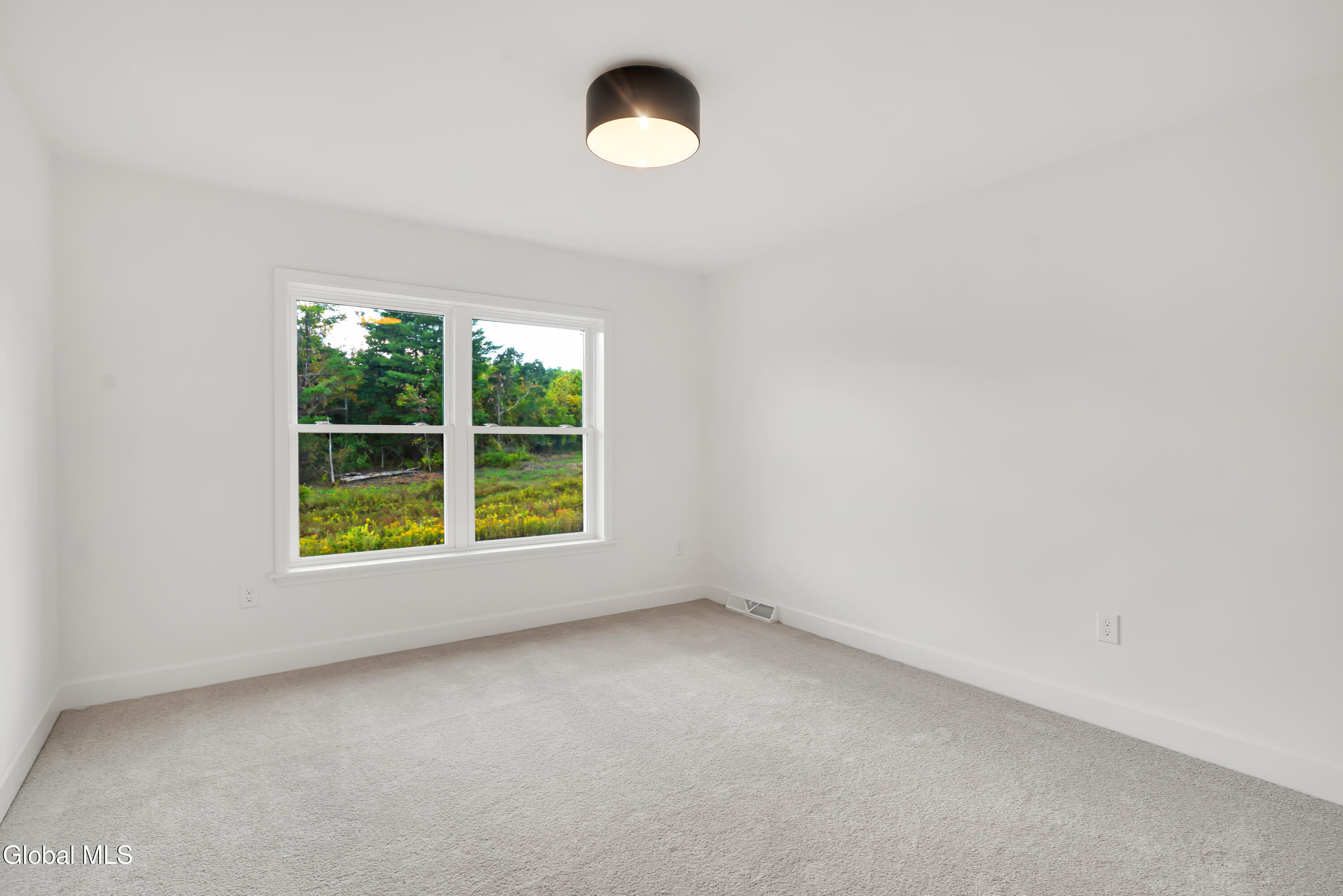 31 Indigo Court Selkirk NY 12158