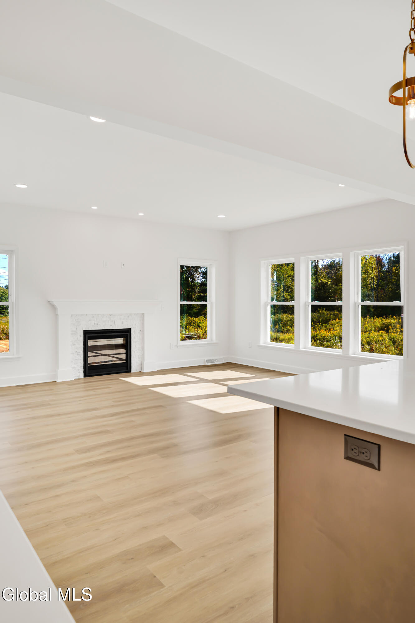 31 Indigo Court Selkirk NY 12158
