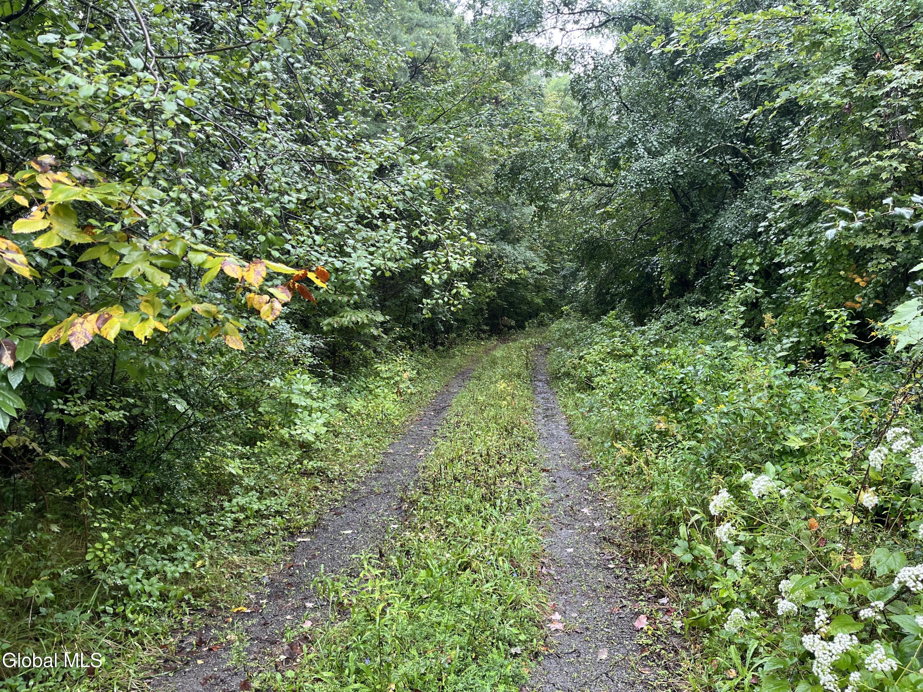 363 Closson Road Glenville NY 12302