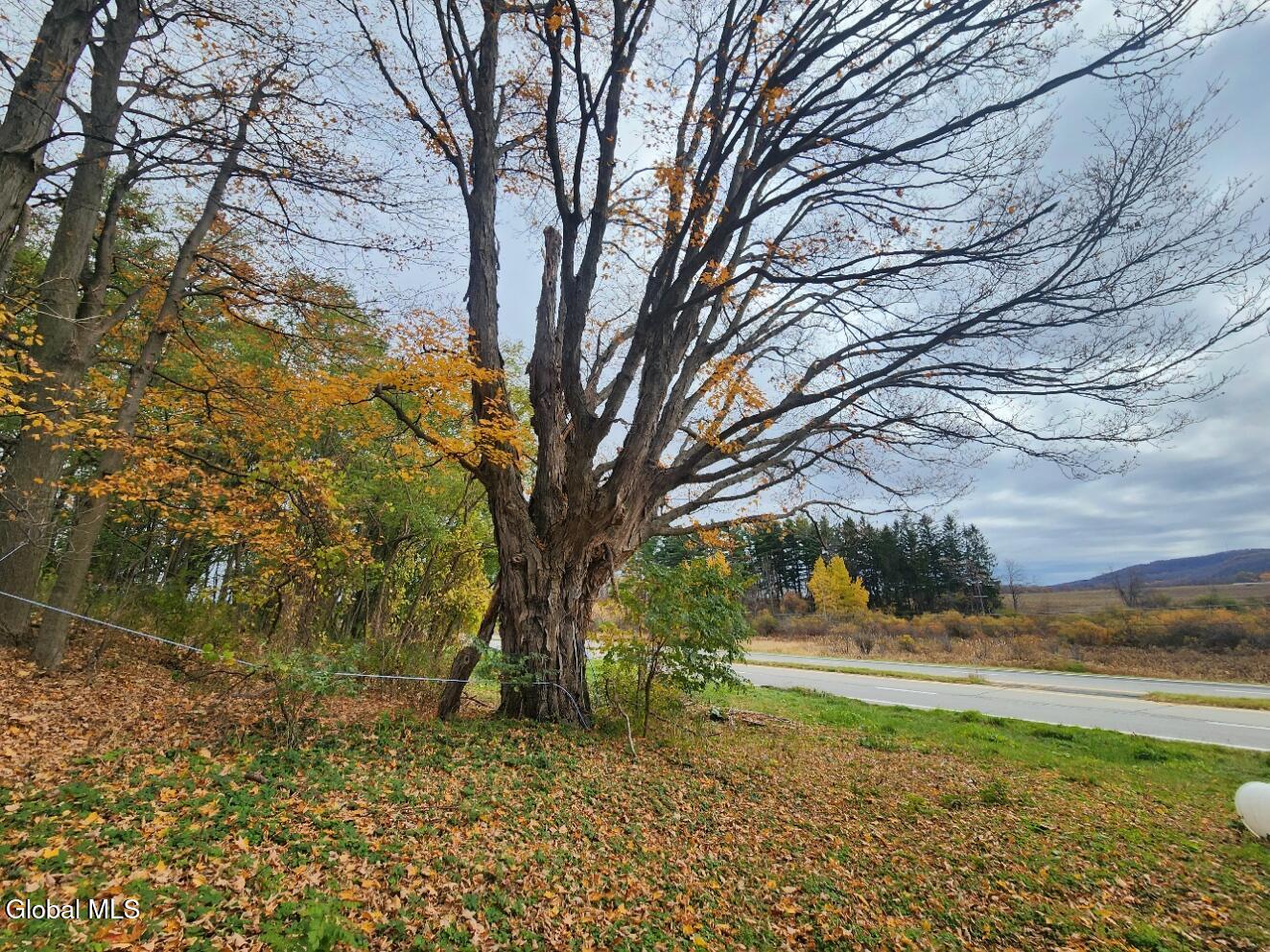 7715 Us Highway 20 Cherry Valley NY 13320